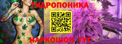 прущие крисы Ликино-Дулёво