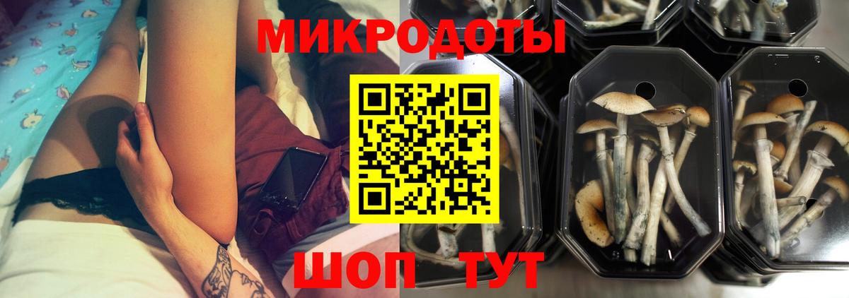 Псилоцибиновые грибы мицелий  Вход с VPN  Псилоцибиновые грибы мухоморы  Зерноград 